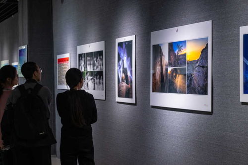 180件精品力作亮相 第12屆寧夏攝影藝術展覽盛大開幕