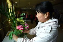 中國牡丹花都 洛陽 擦亮 花名片 催生 花經(jīng)濟(jì)