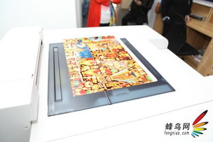 藝術紙帶來的震撼 愛普生d3000用戶訪談