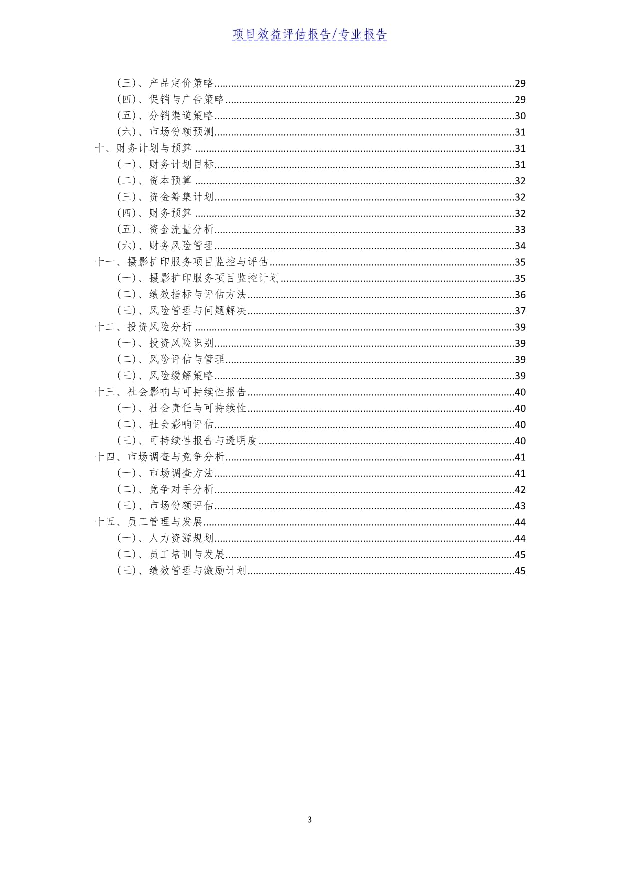 2025年攝影擴印服務項目效益評估報告