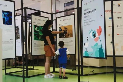 神奇生物在哪里 就在sigs展廳里