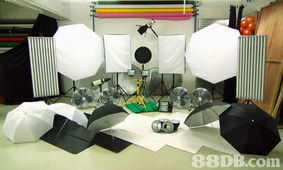 take studio 提供租場服務 , 給攝影人仕租用 場地布置及出租 表演藝術 88db