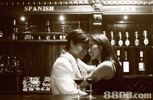 寵物咖啡館攝影優(yōu)惠攻略 一站式捕捉萌寵溫馨瞬間