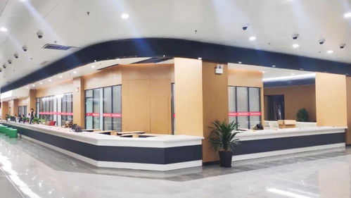 鳳臺(tái)縣政務(wù)服務(wù)中心搬遷新址，智慧政務(wù)與人文關(guān)懷并重，高清大圖帶你直擊現(xiàn)場(chǎng)